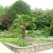 DSCN9044_0142