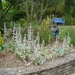 DSCN9045_0143