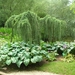 DSCN9046_0144