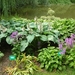 DSCN9047_0145