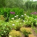 DSCN9049_0147