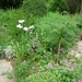 DSCN9052_0150