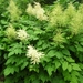 DSCN9054_0152