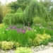 DSCN9056_0154