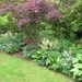 DSCN9057_0155
