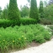 DSCN9058_0156