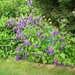 DSCN9059_0157