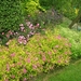 DSCN9065_0163