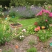 DSCN9066_0164