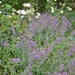 DSCN9068_0166