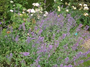 DSCN9068_0166