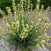 DSCN9069_0167