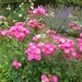 DSCN9070_0168