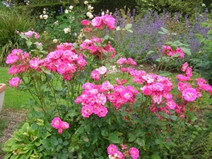 DSCN9070_0168