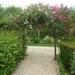 DSCN9071_0169