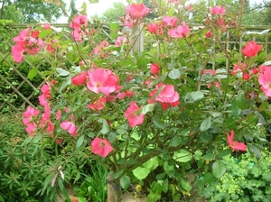 DSCN9073_0171