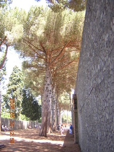 Pompei 086