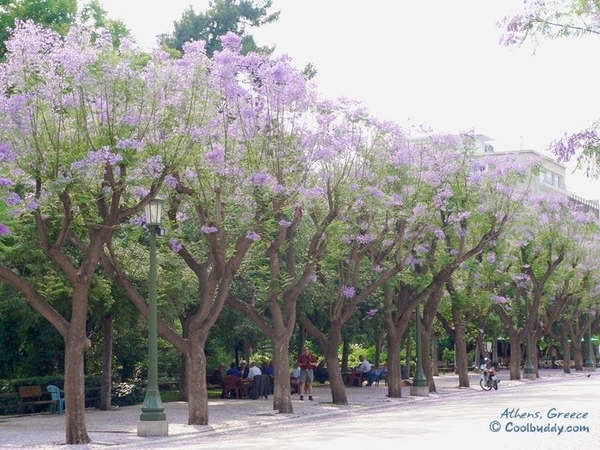 Griekenland 04 Athene (Medium)