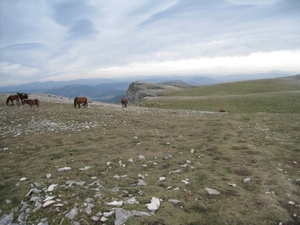 Navarra hugo 2008 022