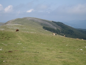 Navarra hugo 2008 115