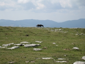 Navarra hugo 2008 116