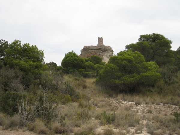 Navarra hugo 2008 137