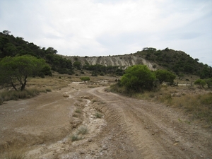 Navarra hugo 2008 140