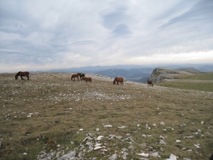 Navarra hugo 2008 179