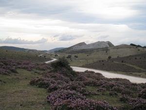 Navarra hugo 2008 182