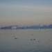 Groenland 2008 116