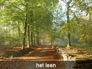 herfst in het leen