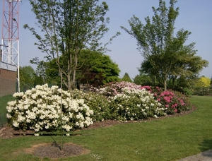 het leen arboretum