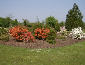 het leen arboretum 2