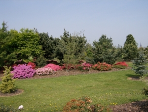 het leen arboretum 3