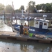 Mortange sur Gironde, visser met een steur