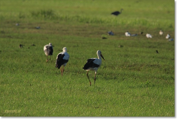 sized_Afbeelding 023