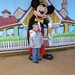 Bezoek aan Micky Mousse