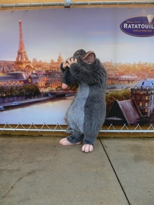 Ratatouille