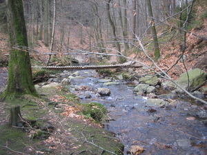 24-2-08 Solwast�re 004
