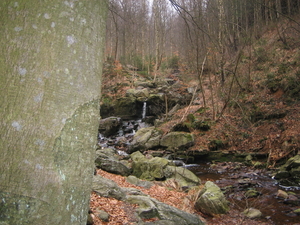 24-2-08 Solwast�re 008