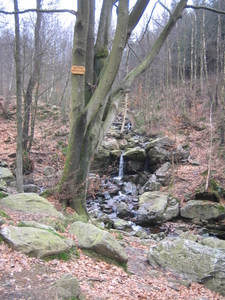 24-2-08 Solwast�re 009