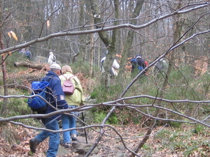 24-2-08 Solwast�re 012