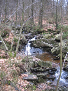 24-2-08 Solwast�re 011
