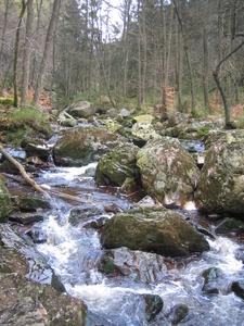 24-2-08 Solwast�re 028