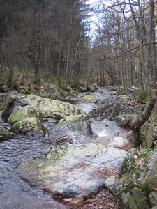 24-2-08 Solwast�re 029