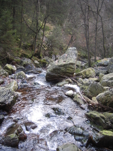 24-2-08 Solwast�re 031