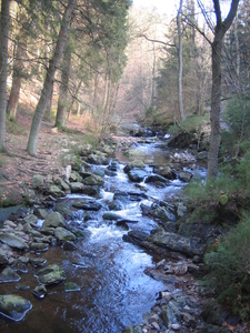 24-2-08 Solwast�re 037