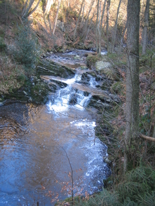 24-2-08 Solwast�re 058