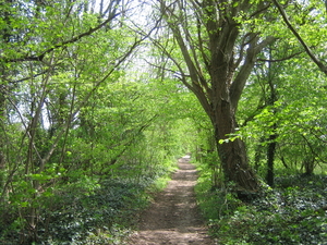 borgloon 27-4-08 007