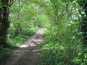 borgloon 27-4-08 008